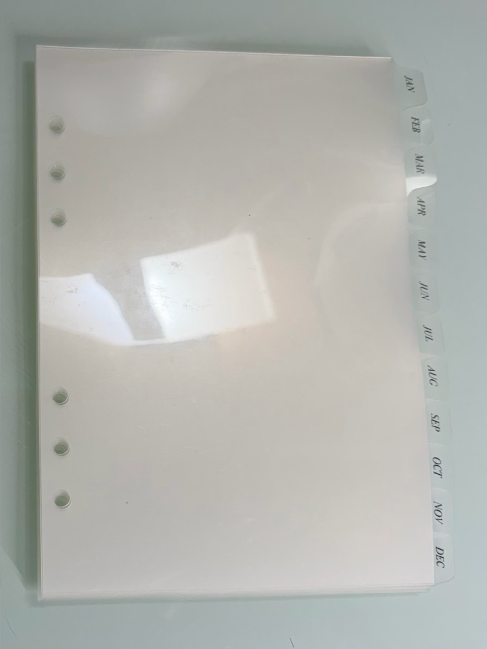 Cloth & Paper Monthly A5 Frosted Side Tab Dividers
